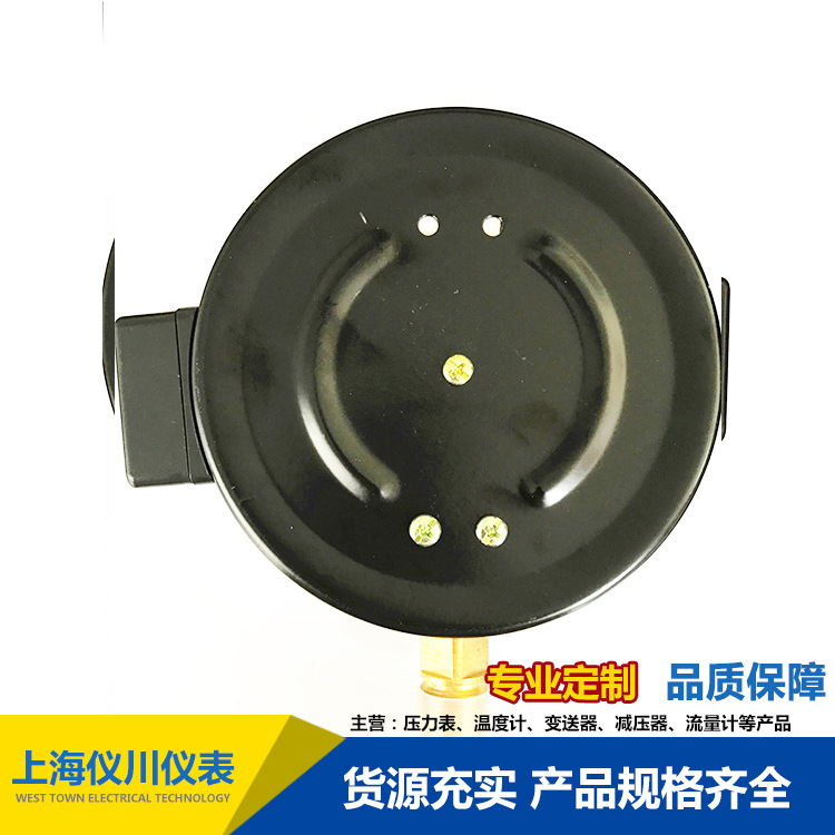 遠(yuǎn)傳壓力表YTZ-150