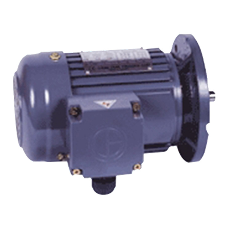 立式標(biāo)準(zhǔn)IEC三相鋁殼（剎車）馬達(dá)