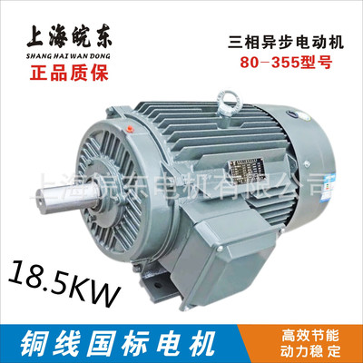 廠家直供18.5KW三相異步電動(dòng)機(jī)YE2-200L1-6- 18.5kw高效節(jié)能電機(jī)