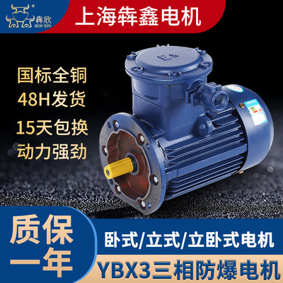 廠家直供YBX3防爆電機(jī)2級三相隔爆電機(jī) 0.75-315kw農(nóng)用防爆電動(dòng)機(jī)