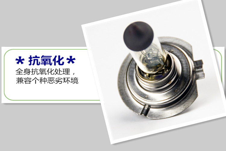 圖片5_副本_副本