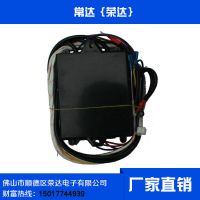 廠家批發(fā) 蒸汽機(jī)點(diǎn)火器 定制脈沖點(diǎn)火器 雙24V蒸汽發(fā)生器脈沖