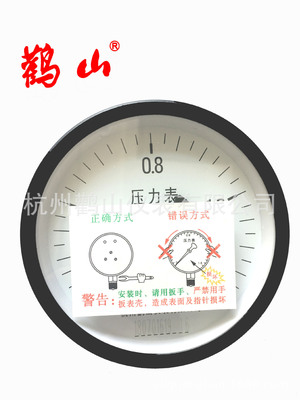 月銷1000臺(tái)儲(chǔ)氣罐壓力表 杭州鸛山 Y100Z 0-1.6MPA 0-2.5MPA