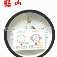 月銷1000臺(tái)儲(chǔ)氣罐壓力表 杭州鸛山 Y100Z 0-1.6MPA 0-2.5MPA