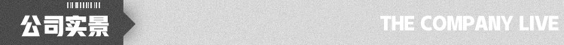 公司實(shí)景.jpg
