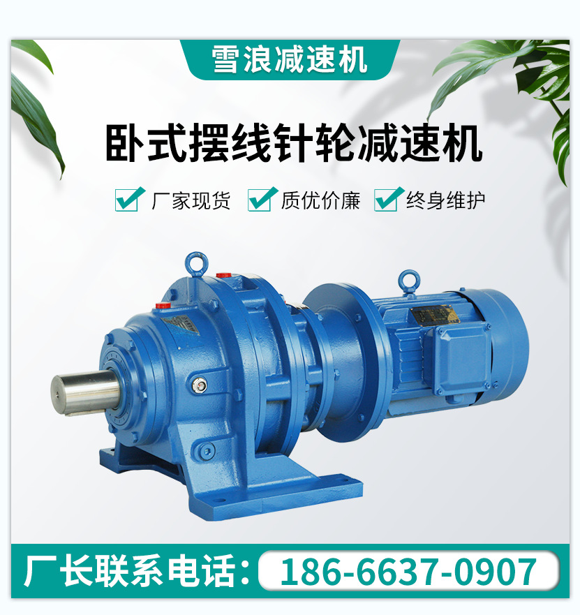 雪浪供應(yīng)臥式BWD系列擺線針輪減速機(jī) 機(jī)械各種速比可定非標(biāo)減速機(jī)