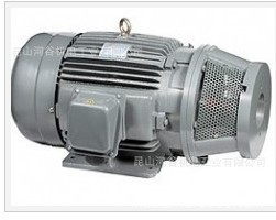 臺(tái)灣群策SY油泵電機(jī)，長(zhǎng)嘴電機(jī)，油壓馬達(dá)，內(nèi)軸馬達(dá)