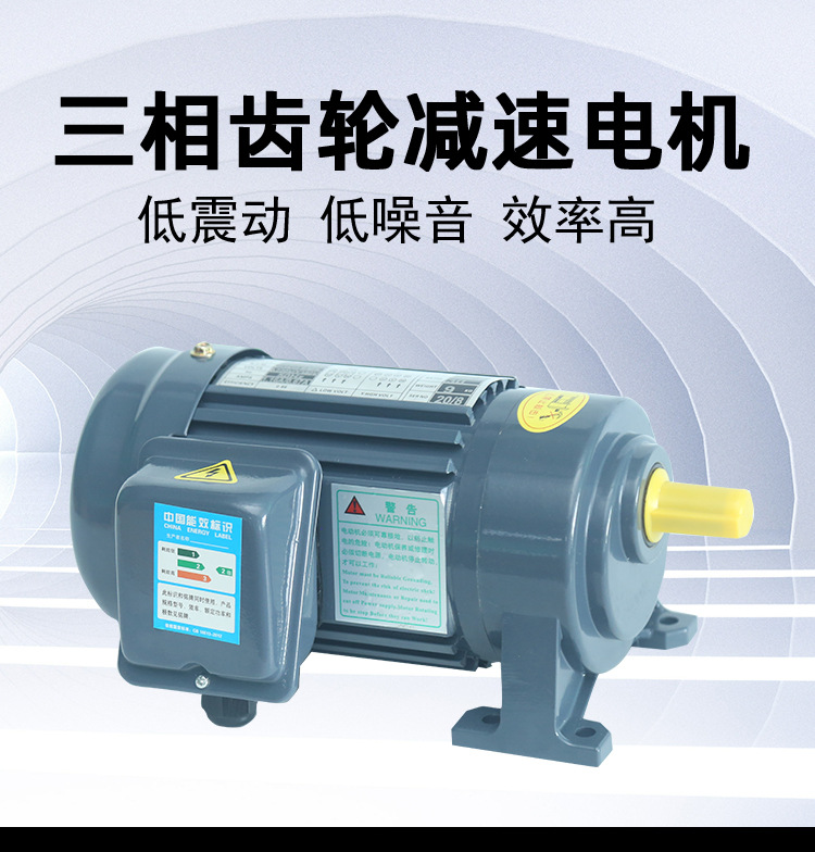 三相齒輪減速電機(jī)詳情_01