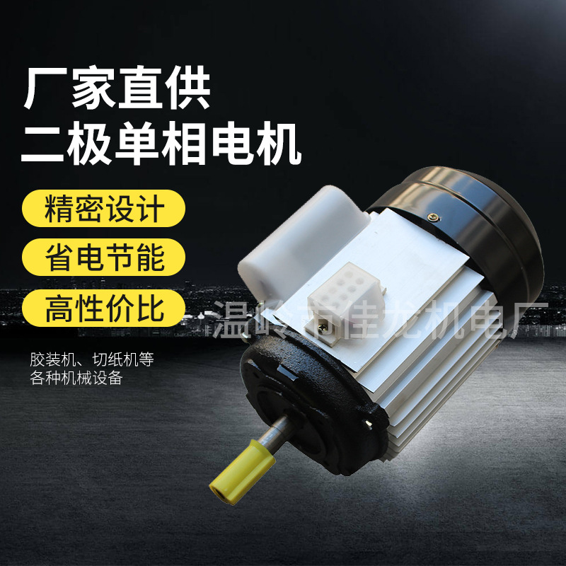 立式 銅芯廠家直供220V 550W 二極單相電動機(jī) 膠裝機(jī)切紙機(jī)械設(shè)備