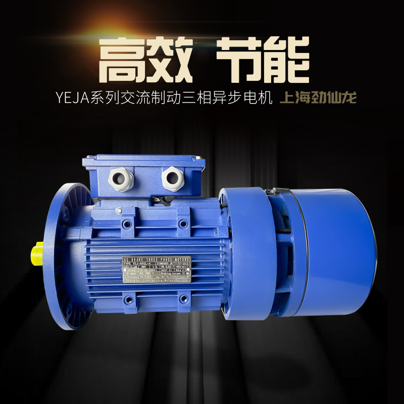 三相異步意大利款交流電磁制動馬達1.5KW剎車電機防護IP55型號全