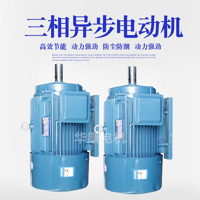 廠家貨源 YE2-122M-2變頻電機(jī)礦山機(jī)械電動(dòng)機(jī) 異步電動(dòng)機(jī)