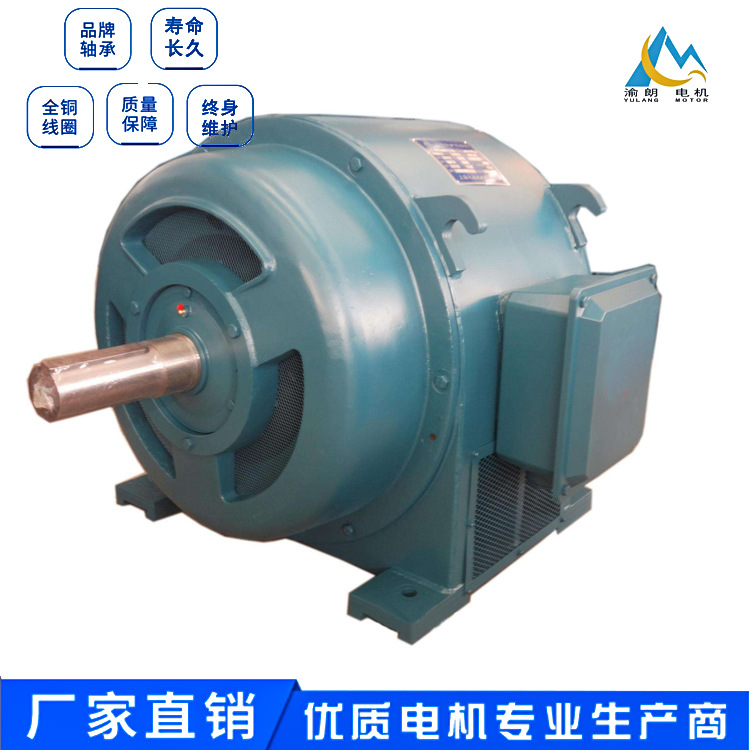 屬籠轉(zhuǎn)子型異步電動機JS128-8/155KW破碎機專用高壓電機