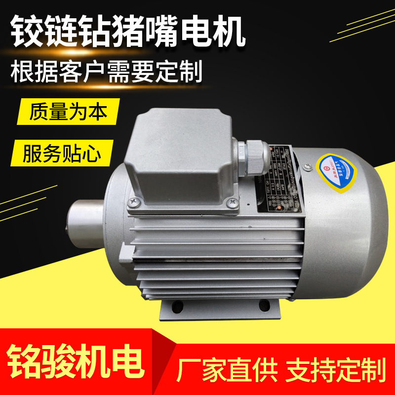 廠家直供 木工鉸鏈鉆、鉸鏈機(jī)電機(jī)、豬嘴鋁殼電機(jī)