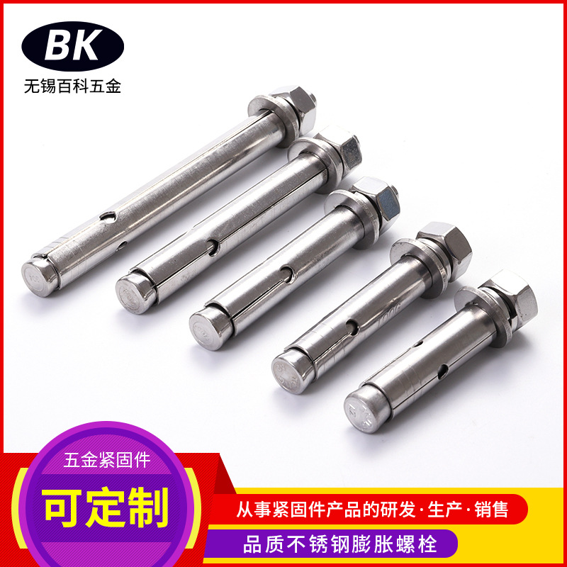 供應(yīng)304不銹鋼膨脹螺絲內(nèi)置加長(zhǎng)膨脹螺栓空調(diào)安裝緊固件現(xiàn)貨批發(fā)