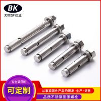 供應(yīng)304不銹鋼膨脹螺絲內(nèi)置加長(zhǎng)膨脹螺栓空調(diào)安裝緊固件現(xiàn)貨批發(fā)