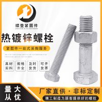 熱鍍鋅螺栓 碳鋼光伏螺栓 全扣半扣鐵塔螺栓 規(guī)格齊全現(xiàn)貨供應(yīng)