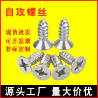 304不銹鋼自攻螺絲十字沉頭螺絲釘 平頭自攻絲M2M3M4自攻螺絲批發(fā)