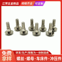 廠家蘑菇頭臺(tái)階螺絲定制異形螺絲鉆孔螺絲不銹鋼螺絲非標(biāo)螺母螺栓