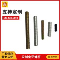 公制全牙m(xù)6m8m10牙條全絲桿螺絲 無頭全細(xì)牙 雙頭機絲牙 全牙螺桿