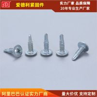 十字華司頭自攻螺絲 廠家供應(yīng) 十字自攻螺絲自攻螺釘長(zhǎng)自攻螺絲釘