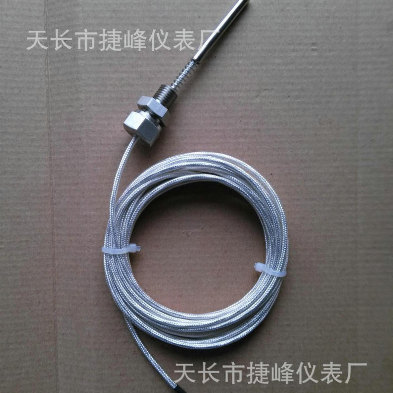 長期供應雙支端面熱電阻 耐油端面熱電阻 WZPM-201端面熱電阻