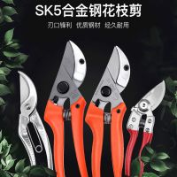 開拓 臺灣制造樹枝剪修枝剪整枝剪果樹剪花枝剪 園林剪刀 110050