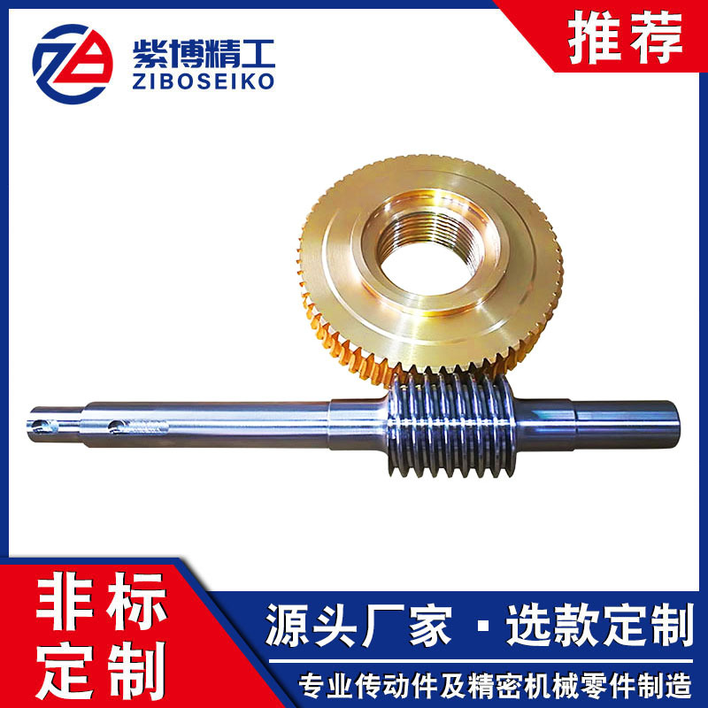 廠家供應(yīng)雙導(dǎo)程蝸輪蝸桿 鋁青銅蝸輪蝸桿 電機(jī)用蝸輪蝸桿批發(fā)