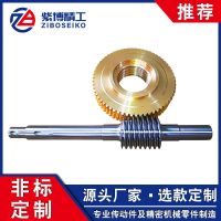 廠家供應雙導程蝸輪蝸桿 鋁青銅蝸輪蝸桿 電機用蝸輪蝸桿批發(fā)