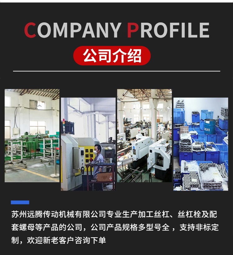 不銹鋼多頭絲桿和螺母_06