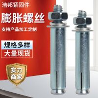 膨脹螺栓金屬膨脹螺栓GB鍍鋅膨脹螺絲大量現(xiàn)貨拉爆螺絲