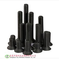 黑色螺絲十字沉頭螺釘M4平頭微型螺絲釘M2.5機(jī)絲螺釘螺栓M3*3~35