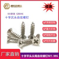 沉頭自攻螺絲鍍鎳KA十字沉頭尖尾自攻螺釘M3.5M4M5平頭木牙螺絲