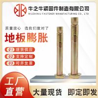 膨脹螺栓 金屬脹栓 外六角膨脹螺絲 內(nèi)膨脹螺絲 地板膨脹栓
