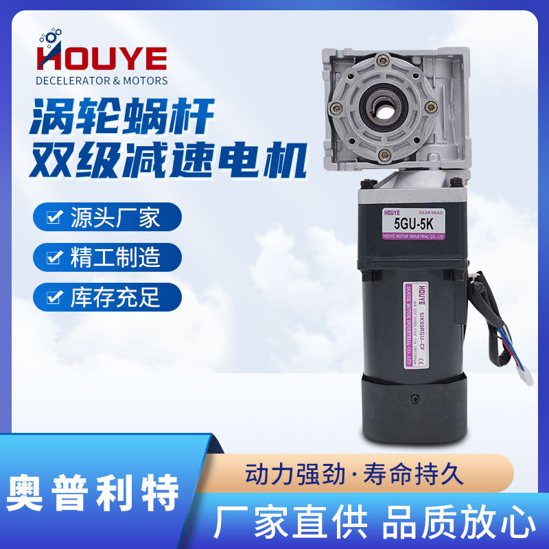 低速交流220V雙級齒輪蝸輪減速電機(jī)40W-200W自鎖渦輪蝸桿慢速馬達(dá)