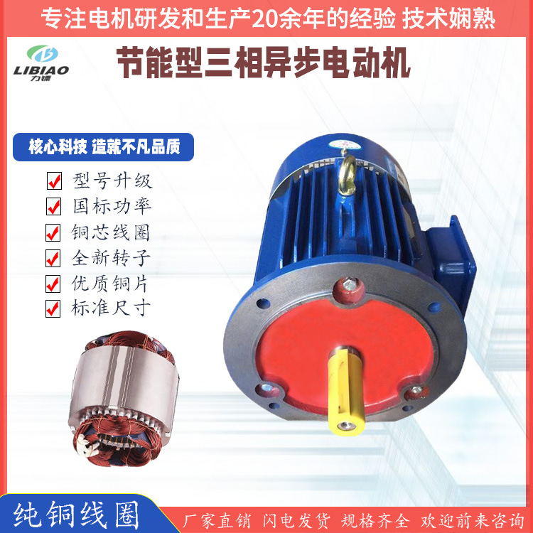 三相異步電動(dòng)機(jī) 2極YE3/YX3 0.75/1.1/1.5/2.2/3KW380V 交流電機(jī)
