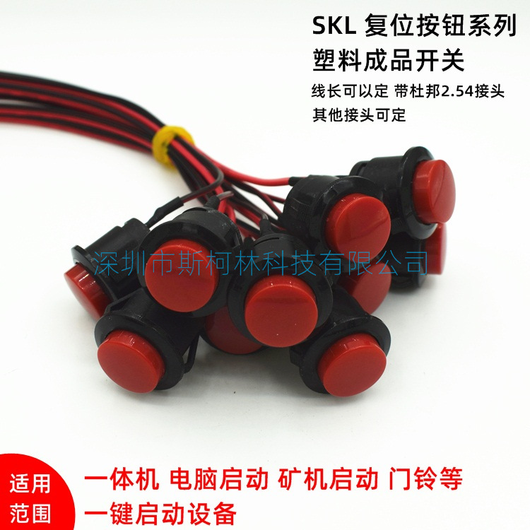 16MM塑料復(fù)位點(diǎn)動(dòng)開關(guān) 一體機(jī)電腦啟動(dòng)礦機(jī)開關(guān)帶線50CM2.54接口
