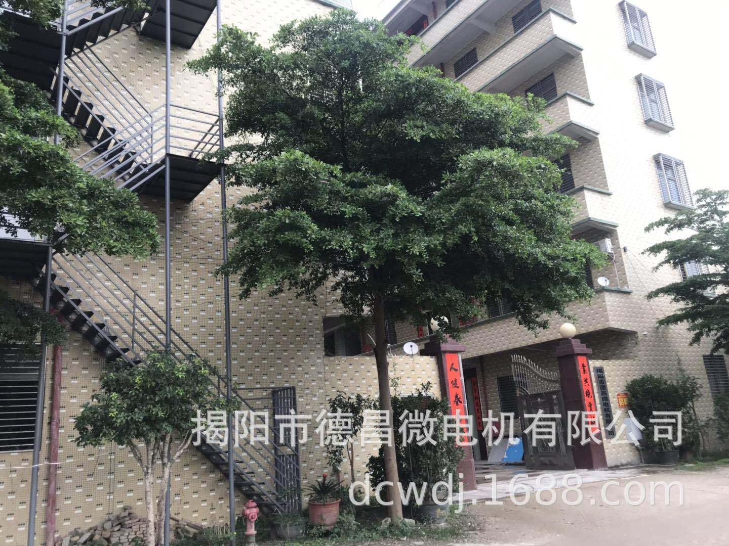 1-365微型電機_03