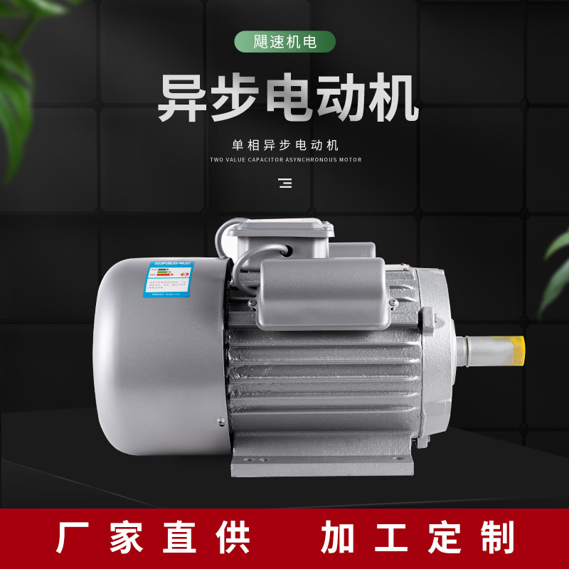 Y100系列 2極 4極單相異步電動(dòng)機(jī) 220V 3kw臥式異步電機(jī)