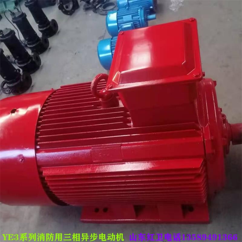 山東廠家直供 YE3-315L1-2/160KW 消防用 YE3系列三相異步電動(dòng)機(jī)