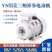 YS90/120/370/750W三相電動(dòng)機(jī)380V鋁殼微型變頻全銅線馬達(dá)立