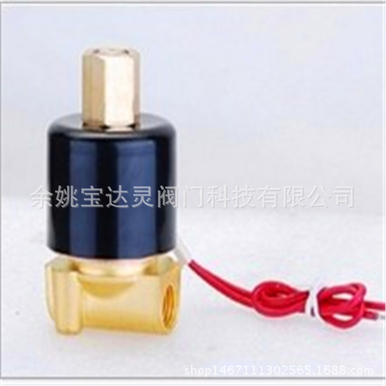 2W-025-08K 全銅 兩通式 直動(dòng)式常閉型 液/氣用 2分常開(kāi)電磁閥