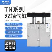廠家直銷氣動(dòng)元件TN雙軸氣缸TN系列加厚缸體不銹鋼活塞桿雙軸氣缸
