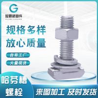 熱鍍鋅哈芬槽螺栓 高強度8.8級哈芬槽用T型螺栓幕墻帶齒螺栓