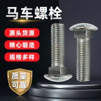 廠家現(xiàn)貨馬車螺栓鍍鋅圓頭方頸螺栓半圓頭螺絲碳鋼8.8級橋梁螺栓