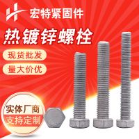 現(xiàn)貨 護(hù)欄螺栓 高速專用防盜 螺絲 熱鍍鋅橋梁螺栓 立柱加長螺栓