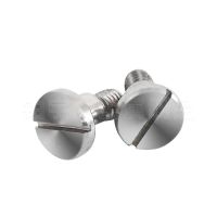 304不銹鋼GB830槽塞打螺絲一字臺(tái)階軸肩軸套螺絲塞打螺栓廠家供應(yīng)