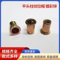 GB/T 17880.1-1999平頭柱紋拉鉚螺母 鍍彩鋅平頭滾花拉姆旋鉚