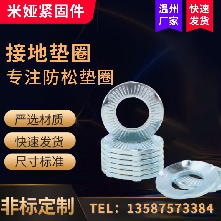 接地墊圈