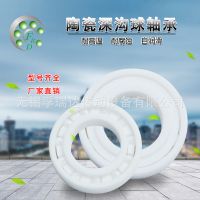 氧化鋯全陶瓷軸承 6004 陶瓷深溝球軸承 陶瓷軸承 廠家直銷
