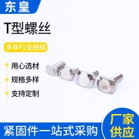 廠家供應(yīng)GB37304不銹鋼T型螺栓 M5/M6/M8/M10槽用T型螺絲